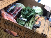 WA directs state dollars to food banks as SNAP funding cliff nears