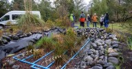 Instalan filtros con lombrices y humedales artificiales en casas del lago Villarrica para descontaminarlo