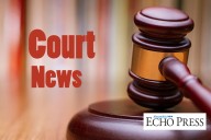 Petition to enter guilty plea filed in felony child torture case