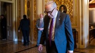 Cracks emerge in Democrats' unity on government shutdown
