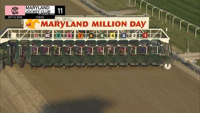 Maryland Million celebrates its 40th anniversary at Laurel Park