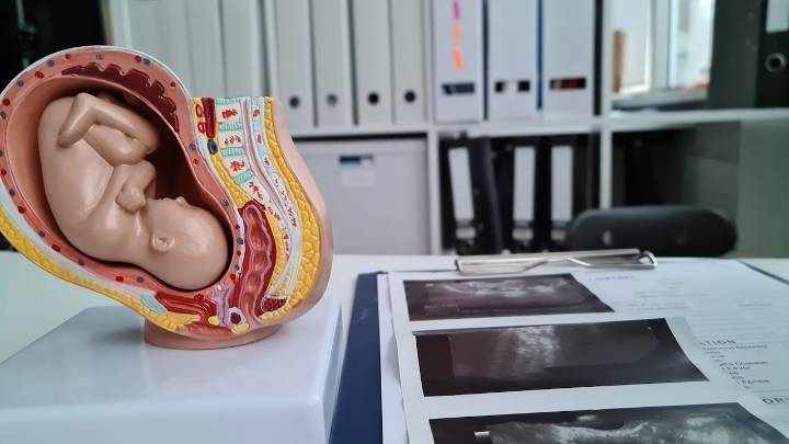 Clinic for late abortions could open in N.J. next year, one of only a few in the country