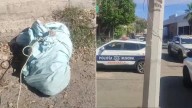 Movilización policíaca por bulto con perro muerto en Centro