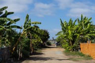 South County Report: Community Gardens Become a Symbol…But of What? 