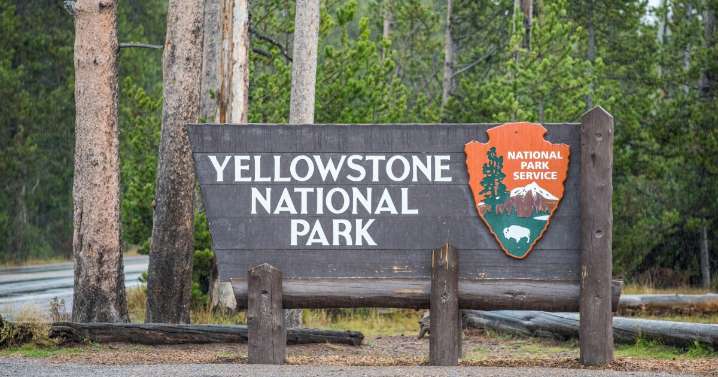 Yellowstone National Park roads reopen following winter storm