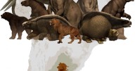 La megafauna dominó la dieta de los primeros sudamericanos