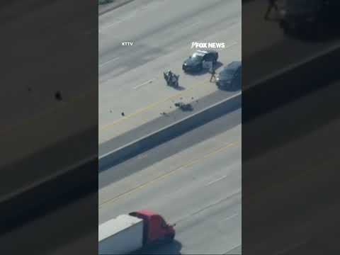 WATCH: Suspect accused of fatally shooting deputy leads officers on freeway chase #shorts #fox #news