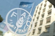 Venezuela ratifica su compromiso con la seguridad alimentaria en 80º aniversario...
