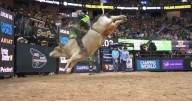 Professional bull riders get ready to kick up dust in their 'Super Bowl'