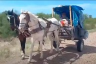 Hombre realiza más de 600 kilómetros en sulky para cumplir una promesa de fe