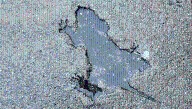 The Infamous "Chicago Rat Hole" Gets Analyzed By Scientists, And It's Not What We Thought