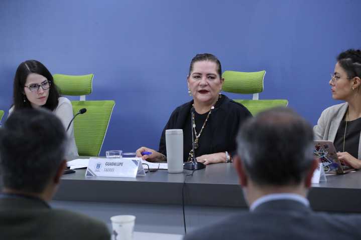La Consejera Presidenta del INE, Guadalupe Taddei, participa en el Seminario “Reforma Electoral ¿Hacia dónde ir?” organizado por el IIJ