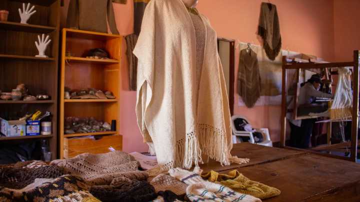 Jujuy presentará el primer hilo de llama producido íntegramente en la provincia