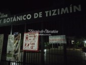 Ponen sellos de clausura al zoológico de “La Reina” en Tizimín