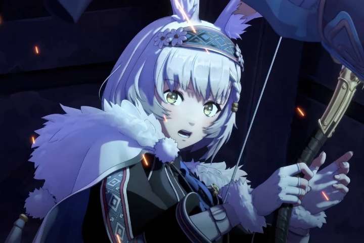 30 Facts About Fire Emblem Shadows