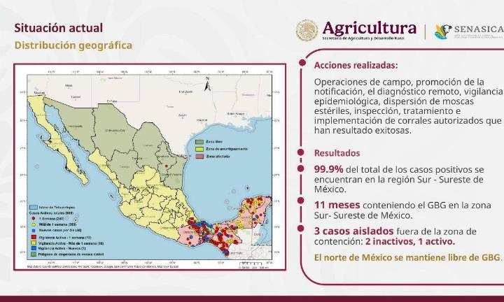 $1 mil 128 millones ha costado hasta ahora el combate al gusano barrenador del ganado