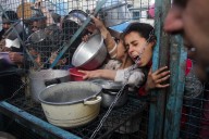 La ONU 'murió' en Gaza cuando fallecieron de hambre los dos primeros bebés: relator