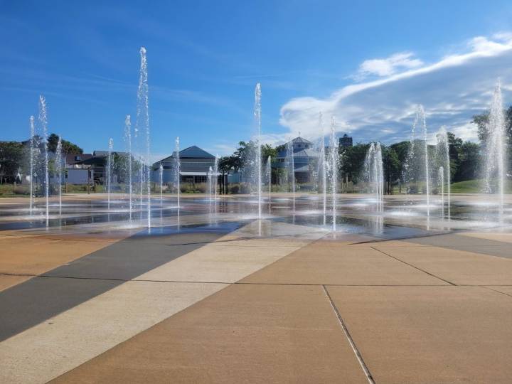 St. Joseph to remove four evergreen trees near Whirlpool Compass Fountain