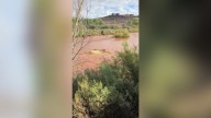 Flood warnings for Saturday in parts of Utah