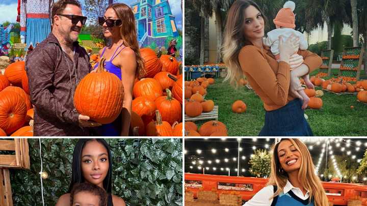 Celebrity Pumpkin Photos 2025 ... It's A Gourd Ole' Time!
