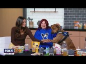 Drinks you and your dog can enjoy together