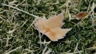 Clima en Neuquén: el lunes comenzará frío y con posibles heladas