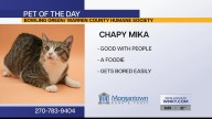 Pet of the Day: Chapy Mika