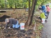Project to beautify St. Charles park keeps on growing