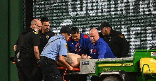Pirates Fan Who Fell 20 Feet Over PNC Park Rail Faces 'Prowling' Charges