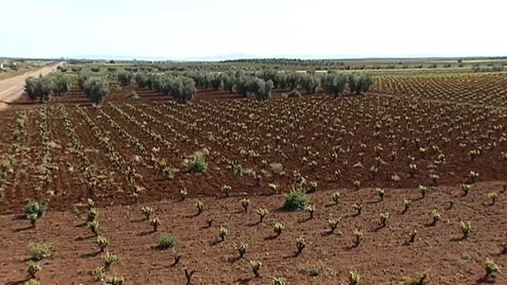 Un técnico defiende la viabilidad del regadío de Tierra de Barros ante la comisión de investigación