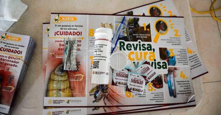 Tamaulipas refuerza acciones para mantener libre al Estado del gusano barrenador