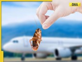 A cockroach was found in an Air India flight and a remark went viral