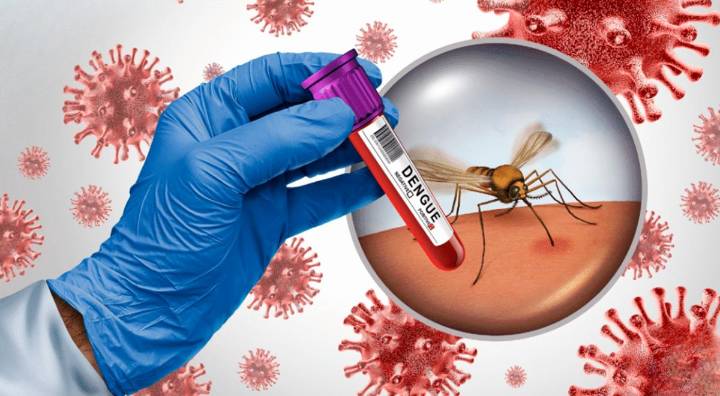 ALERTA inmigrantes: el mosquito del dengue se EXPANDE en Estados Unidos y llega a zonas jamás vistas antes