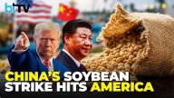 China Cuts Off U.S. Soybeans, Hits Rare Earths | Trump’s Trade War Turns Costly