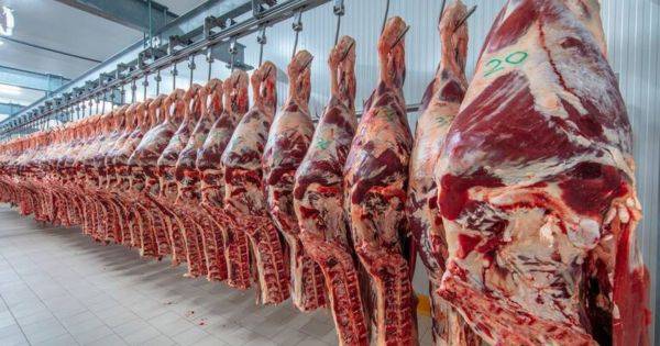 Argentina venderá más carne a EE.UU.: se cuadruplicaría la cuota de exportación en medio del acuerdo con Trump