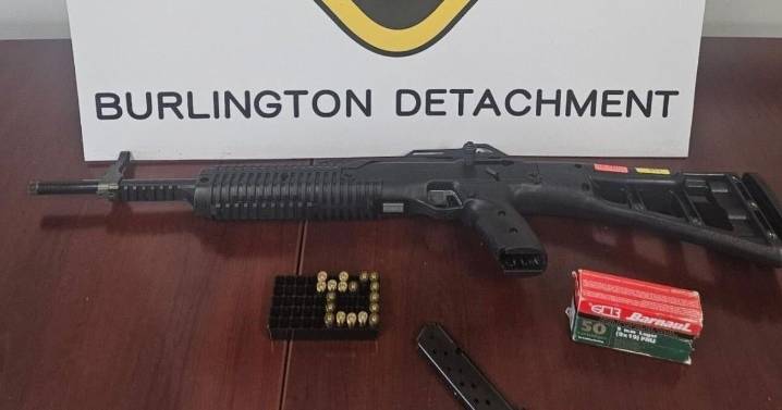 OPP seized prohibited gun during Highway 6 traffic stop