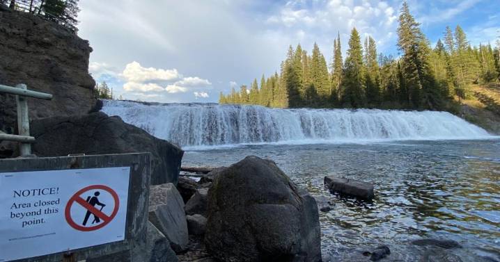 A trip through time: Yellowstone's Bechler region dodged development