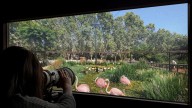 Así será el Zoo de Barcelona en 2030: nuevos espacios y más biodiversidad