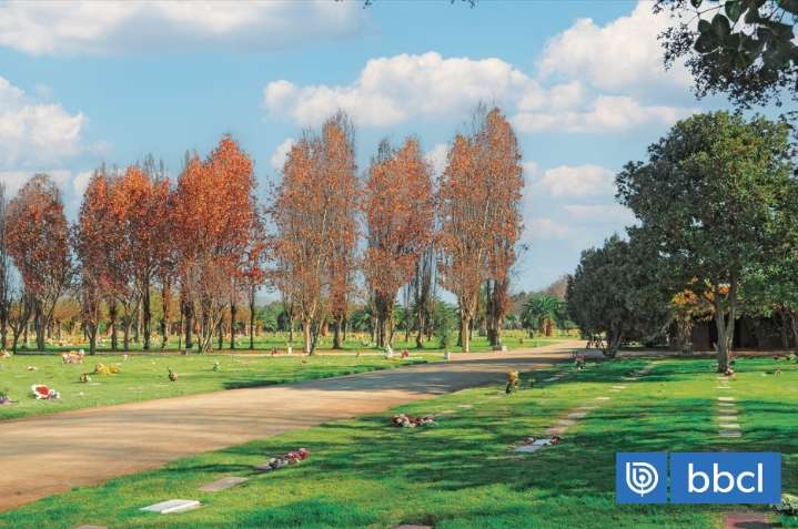 Día de Todos Los Santos: cementerios anuncian horario extendido y actividades este fin de semana largo