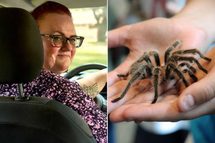 Couple Leaves Tarantula in Lyft Driver's Car After Halloween Party (Exclusive)