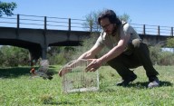 26 aves fueron liberadas tras sufrir maltrato por el tráfico ilegal