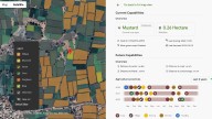 From India to Asia: How Google's AI is cultivating a new future for agriculture