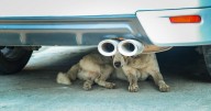 This Instagram Account Proves Photography Is More Than Just A Picture, And These 50 Pics Show Why