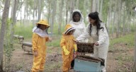 2nd generation apiarist from Punjab's Doraha puts India on world beekeeping map