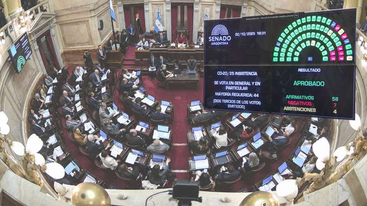 El Senado rechazó los vetos y convirtió en Ley los proyectos de financiamiento de universidades y del Garrahan