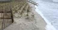 GALLERY: Nor'easter batters South Jersey coast