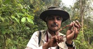 Indian Conservationist Vivek Menon becomes first Asian Chair of IUCN Species Survival Commission