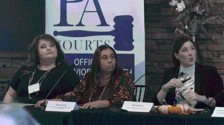Pennsylvania courts address rising mental health crisis solutions