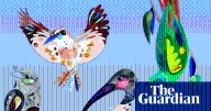 Australian bird of the year 2025: vote for your favourite #birdoftheyear in the Guardian / BirdLife Australia poll