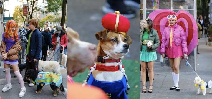 Doggy Trick-or-Treating Event this Weekend on the UWS: What to Know